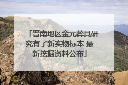 晋南地区金元葬具研究有了新实物标本 最新挖掘资料公布