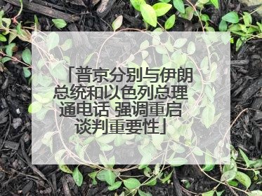 普京分别与伊朗总统和以色列总理通电话 强调重启谈判重要性