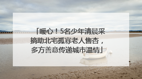 暖心！5名少年清晨采摘助北宅孤寡老人售杏，多方善意传递城市温情