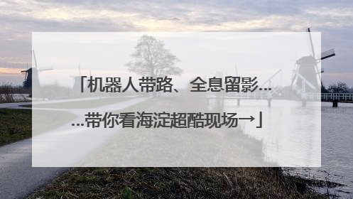 机器人带路、全息留影……带你看海淀超酷现场→
