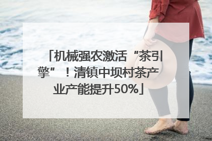 机械强农激活“茶引擎”！清镇中坝村茶产业产能提升50%
