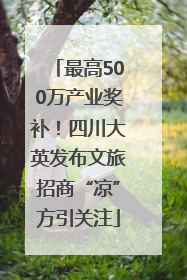 最高500万产业奖补！四川大英发布文旅招商“凉”方引关注