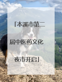 本溪市第二届中医药文化夜市开启