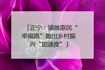 正宁：铺就惠民“幸福路”跑出乡村振兴“加速度”