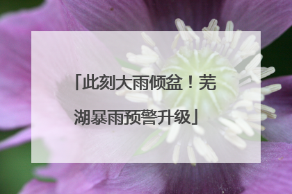 此刻大雨倾盆！芜湖暴雨预警升级