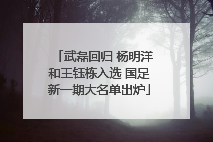 武磊回归 杨明洋和王钰栋入选 国足新一期大名单出炉