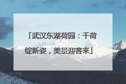 武汉东湖荷园：千荷绽新姿，美景迎客来