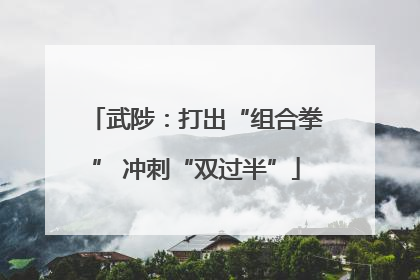 武陟：打出“组合拳” 冲刺“双过半”