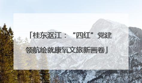桂东沤江：“四红”党建领航绘就康氧文旅新画卷