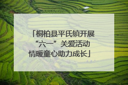 桐柏县平氏镇开展“六一”关爱活动 情暖童心助力成长