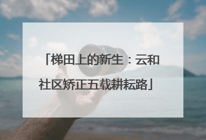 梯田上的新生：云和社区矫正五载耕耘路