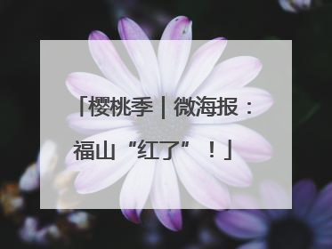 樱桃季｜微海报：福山“红了”！