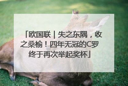 欧国联｜失之东隅，收之桑榆！四年无冠的C罗终于再次举起奖杯