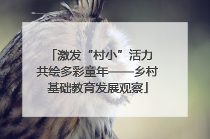 激发“村小”活力 共绘多彩童年——乡村基础教育发展观察
