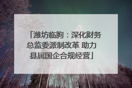 潍坊临朐：深化财务总监委派制改革 助力县属国企合规经营