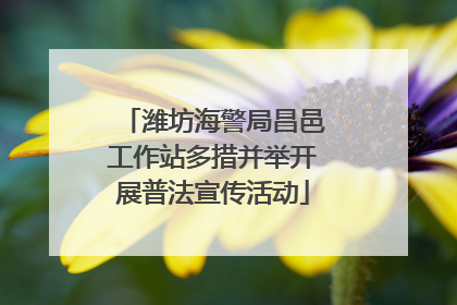 潍坊海警局昌邑工作站多措并举开展普法宣传活动