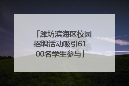 潍坊滨海区校园招聘活动吸引6100名学生参与