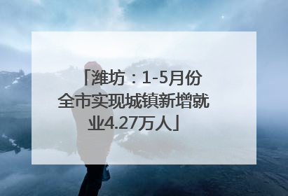 潍坊：1-5月份全市实现城镇新增就业4.27万人