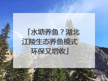 水塘养鱼？湖北江陵生态养鱼模式环保又增收