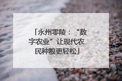 永州零陵：“数字农业”让现代农民种粮更轻松