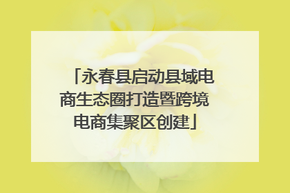 永春县启动县域电商生态圈打造暨跨境电商集聚区创建