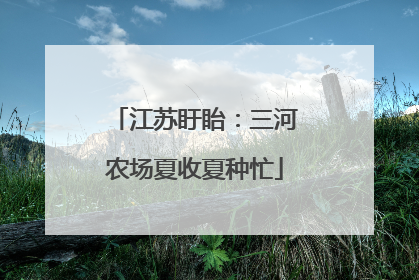 江苏盱眙：三河农场夏收夏种忙