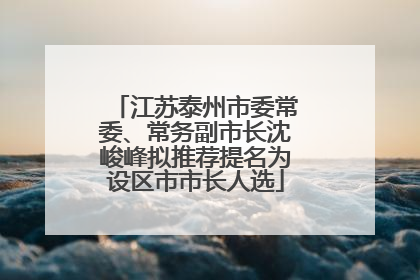 江苏泰州市委常委、常务副市长沈峻峰拟推荐提名为设区市市长人选