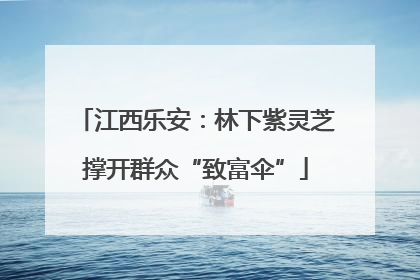 江西乐安：林下紫灵芝撑开群众“致富伞”