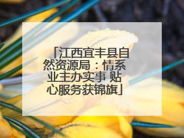 江西宜丰县自然资源局：情系业主办实事 贴心服务获锦旗