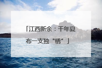 江西新余：千年夏布一支独“绣”