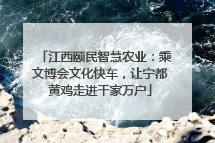 江西颐民智慧农业：乘文博会文化快车，让宁都黄鸡走进千家万户