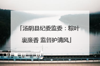 汤阴县纪委监委：粽叶裹廉香 监督护清风