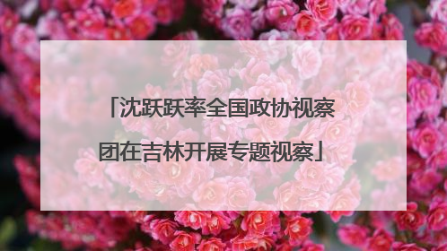 沈跃跃率全国政协视察团在吉林开展专题视察
