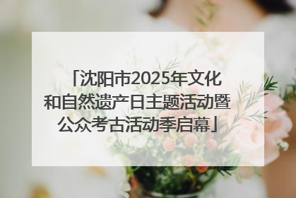 沈阳市2025年文化和自然遗产日主题活动暨公众考古活动季启幕