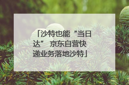 沙特也能“当日达” 京东自营快递业务落地沙特
