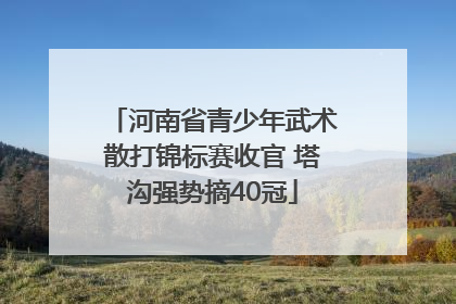 河南省青少年武术散打锦标赛收官 塔沟强势摘40冠