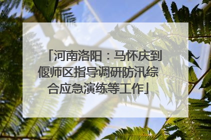 河南洛阳：马怀庆到偃师区指导调研防汛综合应急演练等工作