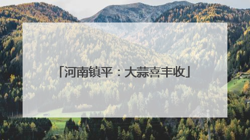 河南镇平：大蒜喜丰收