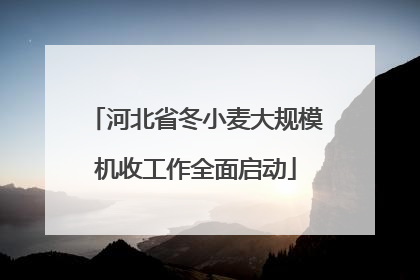 河北省冬小麦大规模机收工作全面启动