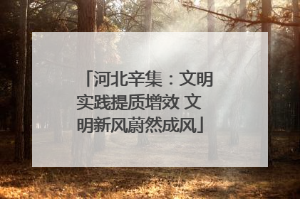 河北辛集：文明实践提质增效 文明新风蔚然成风