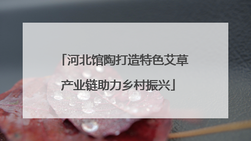 河北馆陶打造特色艾草产业链助力乡村振兴