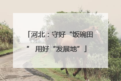 河北：守好“饭碗田” 用好“发展地”