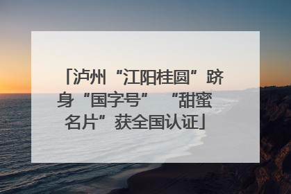 泸州“江阳桂圆”跻身“国字号” “甜蜜名片”获全国认证
