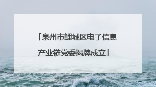 泉州市鲤城区电子信息产业链党委揭牌成立