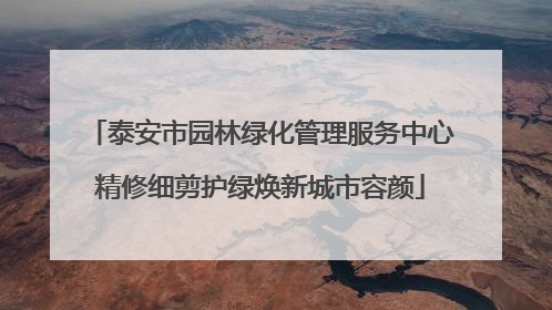 泰安市园林绿化管理服务中心精修细剪护绿焕新城市容颜