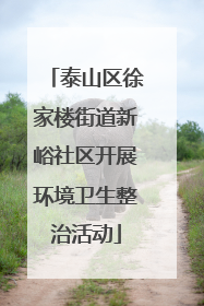 泰山区徐家楼街道新峪社区开展环境卫生整治活动