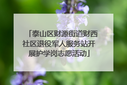 泰山区财源街道财西社区退役军人服务站开展护学岗志愿活动