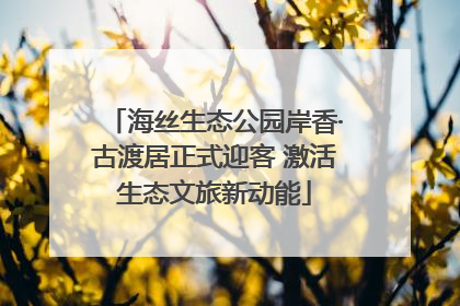 海丝生态公园岸香·古渡居正式迎客 激活生态文旅新动能