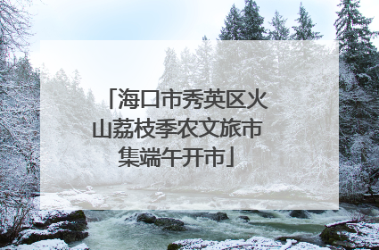 海口市秀英区火山荔枝季农文旅市集端午开市