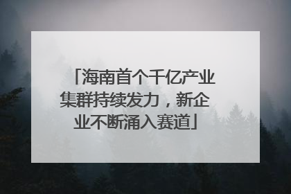 海南首个千亿产业集群持续发力，新企业不断涌入赛道